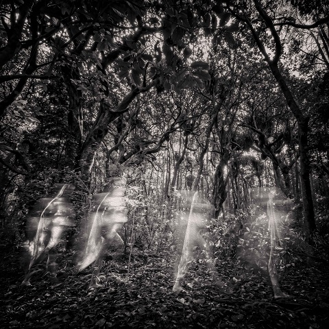 Anil Dumasia; Chasing Shadows winner