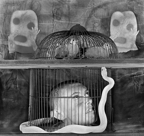 Roger Ballen; Caged 2011