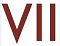 VII Logo