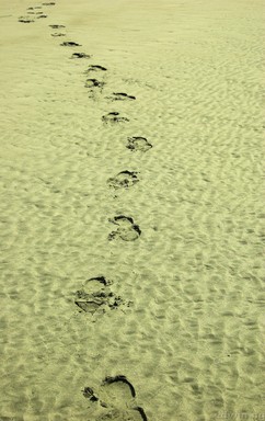 Edwin Ng; Footprints