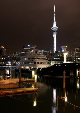 Dianne Gilroy; Summer in the City; Taken from Halsey St, the Viaduct 10 pm 17the January 2007