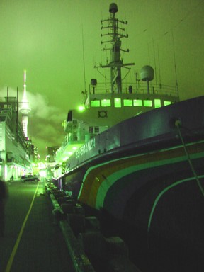 Samantha Smith; Greenpeace Green Night 07;Green sky gives a cooler atmosphere to the landscape that surrounds the ship Esperanza