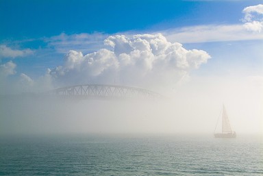 John Ling; Sail into the misty?; A boat try to sail into the misty  the other side of the Harbour bridge, after it left the Westhaven Boat Habour. But it truned around since the fog was too thick at a morning this month