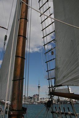 Anita Szabo Ryan; Sailing 3; I was sailing on the Ted Ashby boat in Auckland harbour on the 24th April