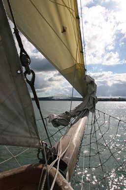  I was sailing on the Ted Ashby boat in Auckland harbour on the 24th April