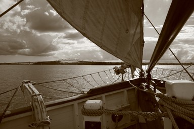  I was sailing on the Ted Ashby boat in Auckland harbour on the 24th April