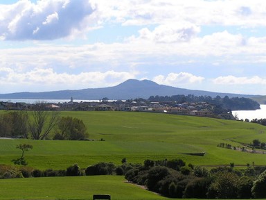 Susan Taylor; The Grass is Greener; Rangitoto Island taken from Macleans Road with Macleans Park in the foreground