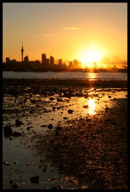  Sunset over the CBD from Okahu Bay