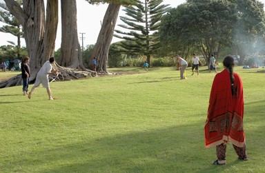 darius mccallum; family playing cricket in the park; taken at long bay, the men are batting, bowling and keeping, while the women are fielding, albeit colourfully.