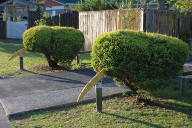  taken near my home in torbay, an interesting and typically new zealand use of the art of topiary