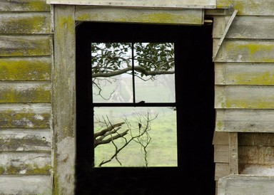 Chrysler Menchavez; Window of Life; Old shed at Waiuku