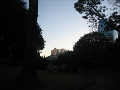 Mary Parrish; My Auckland; 2nd How I see Auckland on my early morning city walks