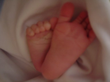  My son's feet at 12 weeks old - Bucklands Beach
