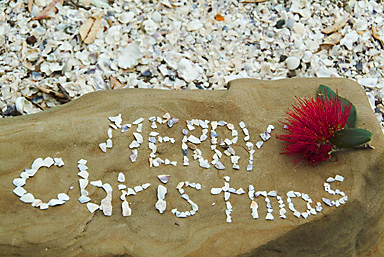 John Ling; Merry Xmas in Blockhouse Bay beachJust saw a Japanese tour_Yoshi make up a shell words' Happy Xmas'. We rearrange to 'Merry Xmas' later in Wattle Bay on Xmas day;