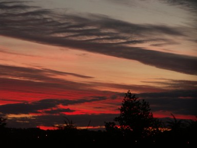 Zelda Wynn; SKY OF MANY COLOURS; Auckland has many beautiful sunsets. This photo is just one of many