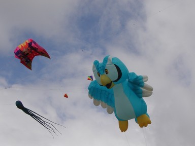 Samantha Smith; Flying the kites; Bastion Point fundraiser March 2007