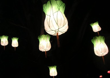 Mabelle Teh; Floating Angels; these night time lanterns are very good to photograph