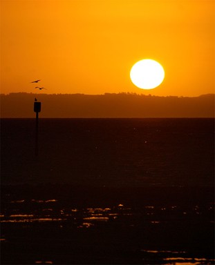 Raymond Sagapolutele; Sunset on Weymouth