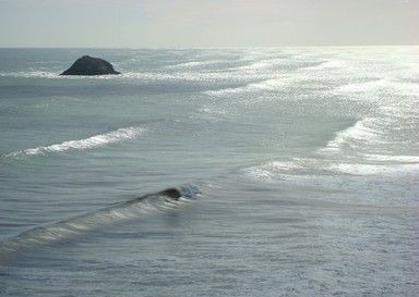 Steve Nicoll; Untitled; Oaia Island taken from Te Henga Trail, Muriwai