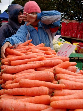 Martin Horspool; Carrots; Avondale Market