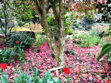 Jerry Zinn;Spring is everywhere;Taken at Eden Gardens