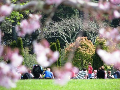 Jerry Zinn;Family relaxing at Cornwall Park;Cornwall Park lends itself so well for photography