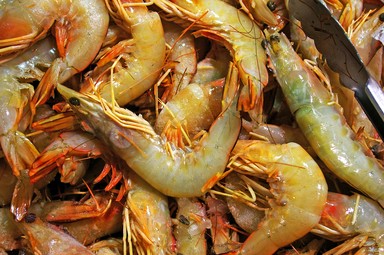 Prawns for the 