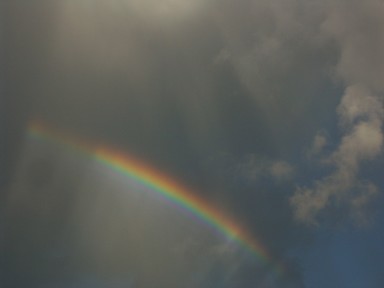 Spring brings rain,rainbows and rays over Auckland.