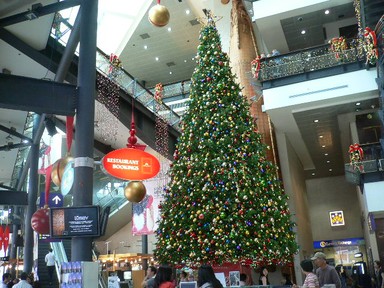 Winifred Struthers;Sky City Christmas Tree; Beautiful tree