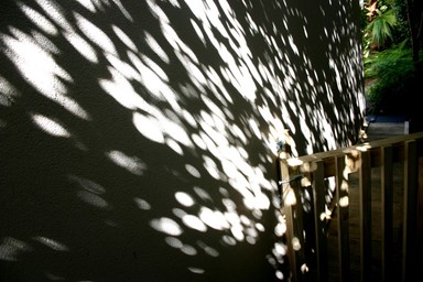 Jerry Zinn;DAPPLED SUNLIGHT.;AT THE SETTING SUN, THIS IMAGE APPEARED ON THE SIDE OF OUR HOUSE