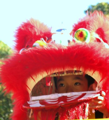 Martin Read;Lookout;Chinese Lion Dancer