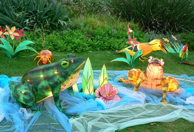 Cynthia Hsu;Garden Creatures;Lantern Festival at Albert Park (shot 95 pics)