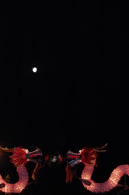 Two Dragons & the Moon