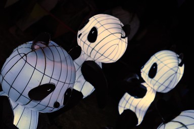 Winston Gee;Industrious Pandas;Lantern Festival 2009, Albert Park