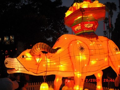 Kwan Lim;Year of the Ox;Taken at Albert Park at the 2009 Lantern Festival. Took 25 shots in total.
