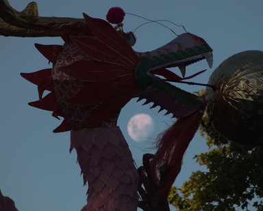 Lee Pike;Dragon Moon;Albert Park 7/2/09