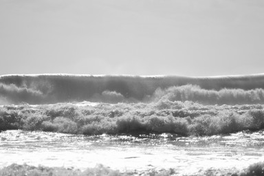 shelley daber;smooth & fluffy!;taken at SOUTH PIHA