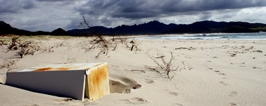 Taken during Sustainable Coastlines coastal cleaup of Great Barrier Island