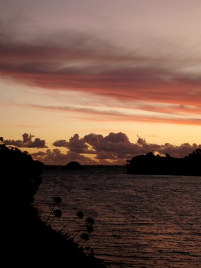 Elisabeth St.;dramatical sunset; Warft road (waiheke Island)