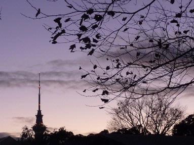 Richard Mayes; Sky Tower from Ponsonby Rd