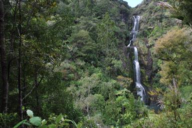 Chamalie Jayaweera; Kitekite Falls; Midway scenery