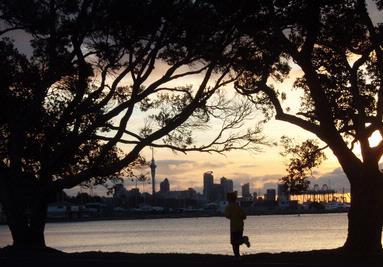 Fiona Tarlton;An evening jog along Tamaki Drive...; My 8 year old son Tane loves running along Auckland's waterfront,  whilst I drive along keeping an eye on him...Lazy Mum!