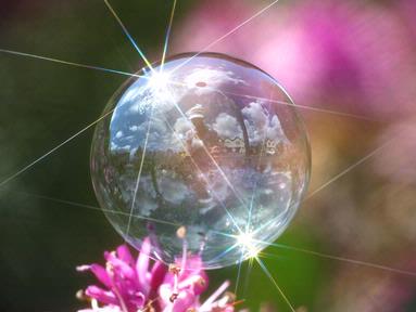 Madeleine Hopkins;Bubble World; This is a soap bubble, straight out of the camera (no post processing).