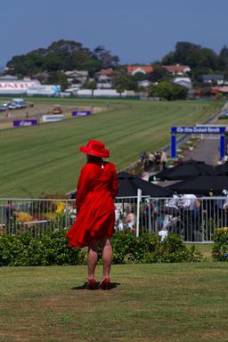 Kevin Mansell;A day at the races; Ellerslie New Years Day