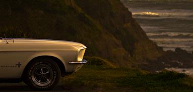 Mark Grieve;Mustang view; From the carpark above Maori Bay West Auckland