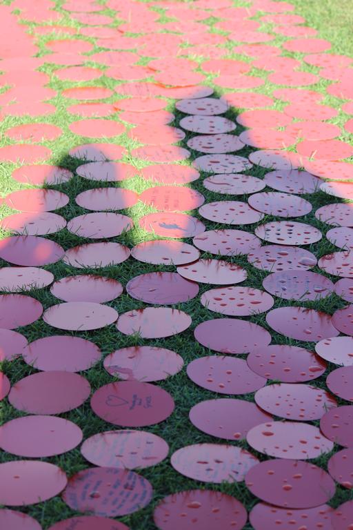 Leigh Burrell; Shadows and raindrops; The Giant Poppy Project, Auckland Domain