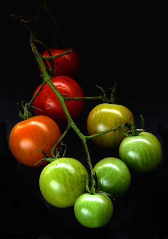 P Craze; Cherry Tomatoes