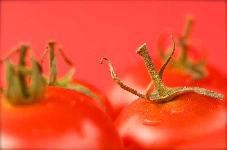 Paul Craze;Tomatoes