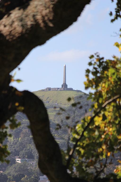 One Tree Hill from Monte Cecilia Park