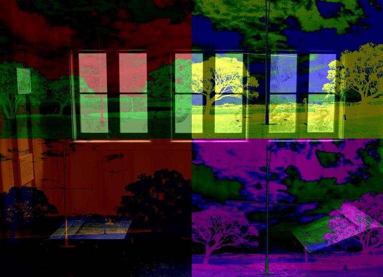 susanne wichmann;Tree Devonport in colour; Devonport and Zoo window collage